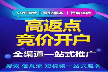 SEM广告投放策略案例分析